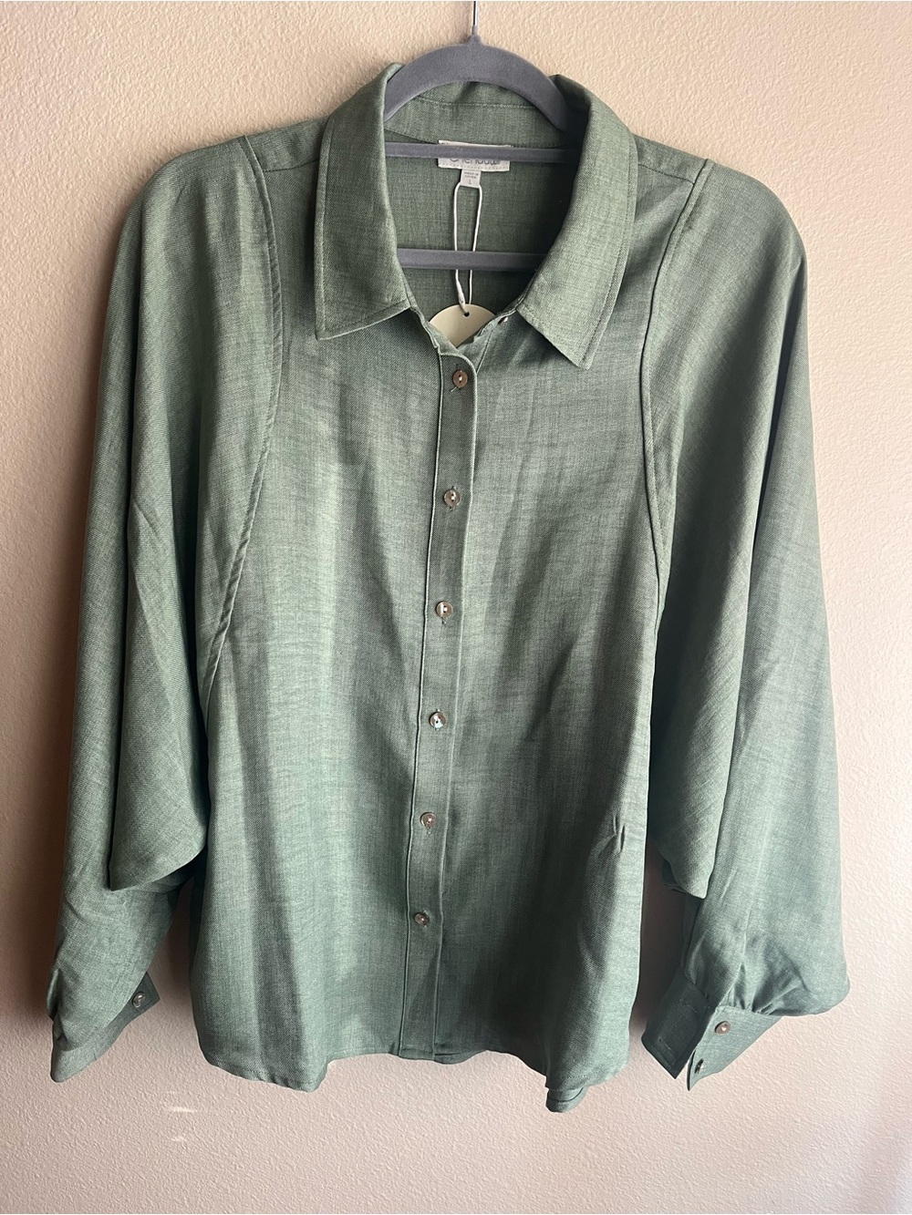 Chenault Sage Green Relaxed Button-Front Blouse